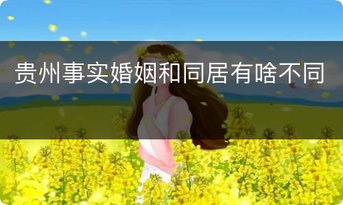 贵州事实婚姻和同居有啥不同