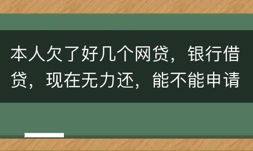 本人欠了好几个网贷，银行借贷，现在无力还，能不能申请破产