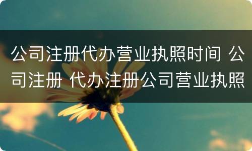 公司注册代办营业执照时间 公司注册 代办注册公司营业执照
