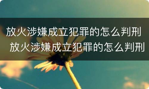 放火涉嫌成立犯罪的怎么判刑 放火涉嫌成立犯罪的怎么判刑呢