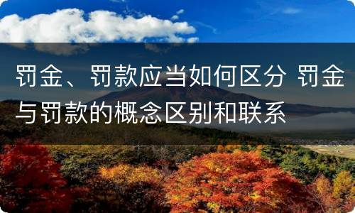 罚金、罚款应当如何区分 罚金与罚款的概念区别和联系