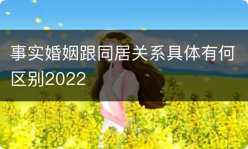 事实婚姻跟同居关系具体有何区别2022