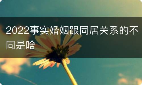 2022事实婚姻跟同居关系的不同是啥