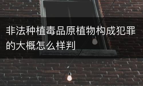 非法种植毒品原植物构成犯罪的大概怎么样判