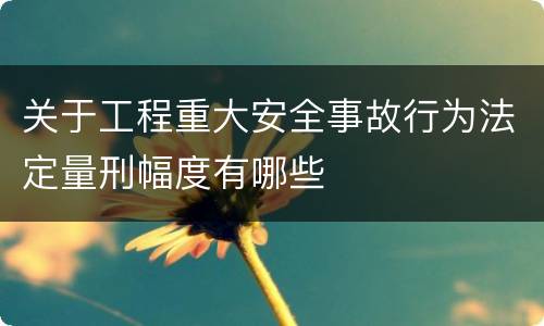 关于工程重大安全事故行为法定量刑幅度有哪些