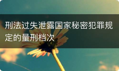 刑法过失泄露国家秘密犯罪规定的量刑档次