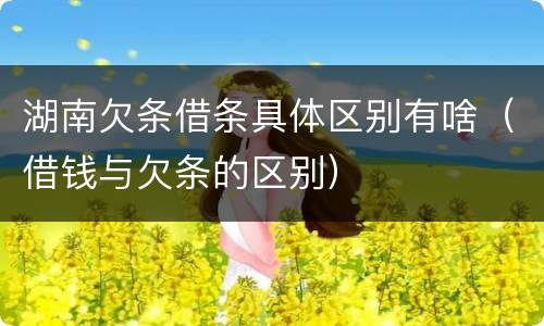 湖南欠条借条具体区别有啥（借钱与欠条的区别）