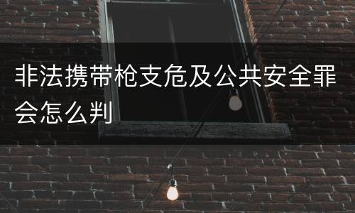 非法携带枪支危及公共安全罪会怎么判