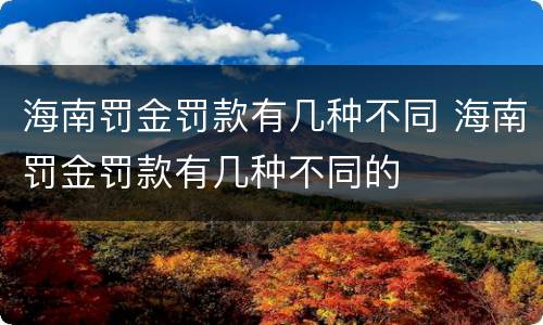 海南罚金罚款有几种不同 海南罚金罚款有几种不同的