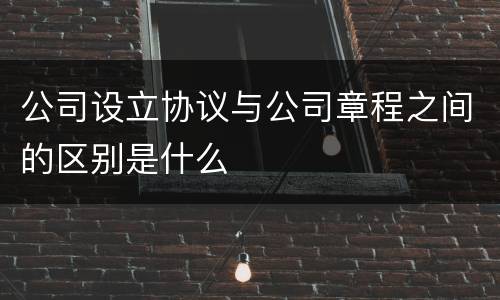 公司设立协议与公司章程之间的区别是什么