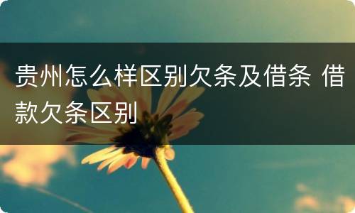 贵州怎么样区别欠条及借条 借款欠条区别