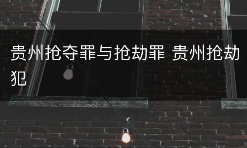 贵州抢夺罪与抢劫罪 贵州抢劫犯