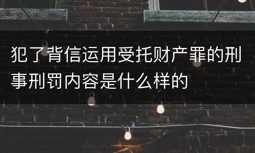 犯了背信运用受托财产罪的刑事刑罚内容是什么样的