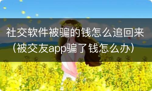 社交软件被骗的钱怎么追回来（被交友app骗了钱怎么办）