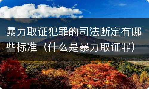 暴力取证犯罪的司法断定有哪些标准（什么是暴力取证罪）