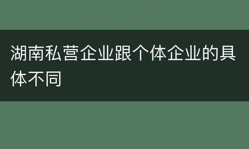 湖南私营企业跟个体企业的具体不同