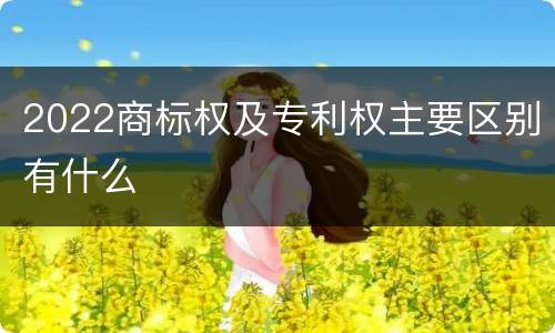 2022商标权及专利权主要区别有什么
