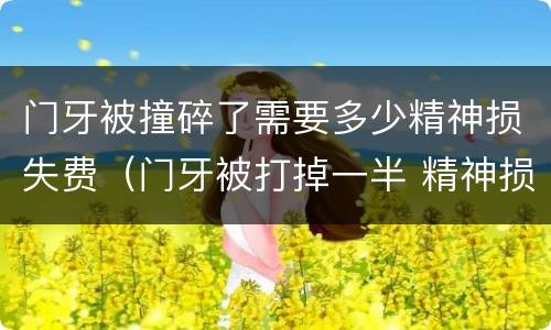 门牙被撞碎了需要多少精神损失费（门牙被打掉一半 精神损害赔偿）