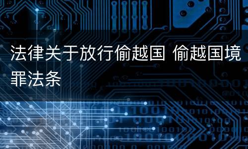 法律关于放行偷越国 偷越国境罪法条