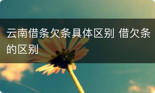 云南借条欠条具体区别 借欠条的区别