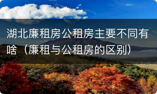 湖北廉租房公租房主要不同有啥（廉租与公租房的区别）