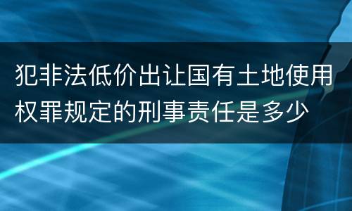 犯非法低价出让国有土地使用权罪规定的刑事责任是多少