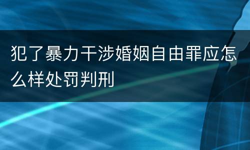犯了暴力干涉婚姻自由罪应怎么样处罚判刑