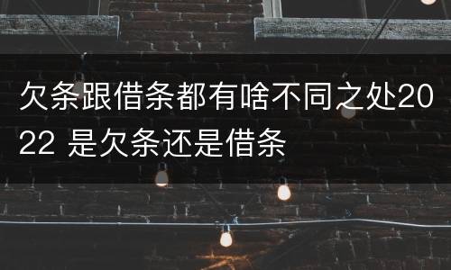 欠条跟借条都有啥不同之处2022 是欠条还是借条