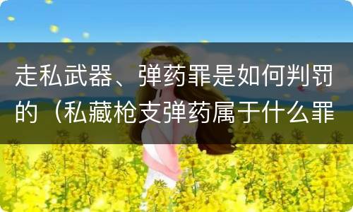 走私武器、弹药罪是如何判罚的（私藏枪支弹药属于什么罪）