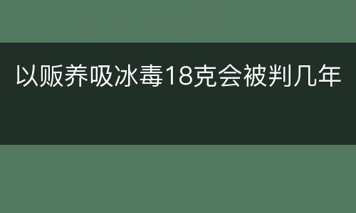 以贩养吸冰毒18克会被判几年