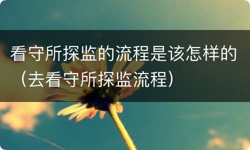 看守所探监的流程是该怎样的（去看守所探监流程）