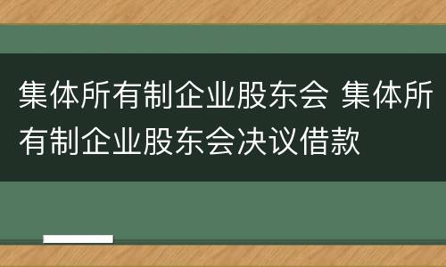 集体所有制企业股东会 集体所有制企业股东会决议借款