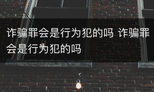 诈骗罪会是行为犯的吗 诈骗罪会是行为犯的吗