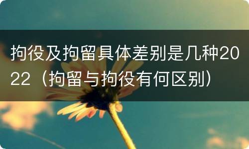 拘役及拘留具体差别是几种2022（拘留与拘役有何区别）
