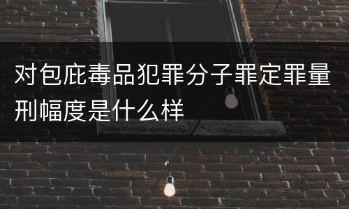 对包庇毒品犯罪分子罪定罪量刑幅度是什么样