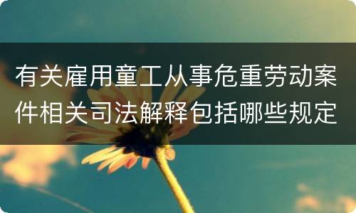 有关雇用童工从事危重劳动案件相关司法解释包括哪些规定