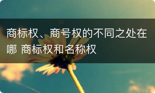 商标权、商号权的不同之处在哪 商标权和名称权