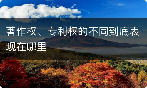 著作权、专利权的不同到底表现在哪里