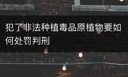 犯了非法种植毒品原植物要如何处罚判刑