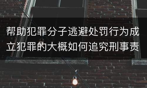 帮助犯罪分子逃避处罚行为成立犯罪的大概如何追究刑事责任