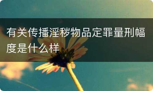 有关传播淫秽物品定罪量刑幅度是什么样