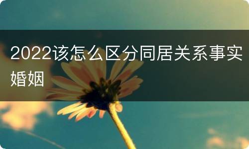 2022该怎么区分同居关系事实婚姻