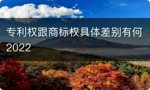 专利权跟商标权具体差别有何2022