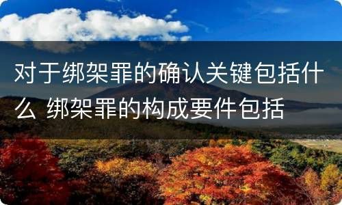 对于绑架罪的确认关键包括什么 绑架罪的构成要件包括