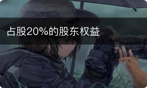 占股20%的股东权益