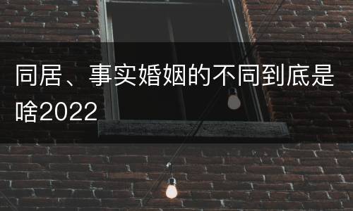 同居、事实婚姻的不同到底是啥2022