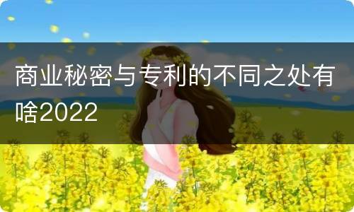 商业秘密与专利的不同之处有啥2022