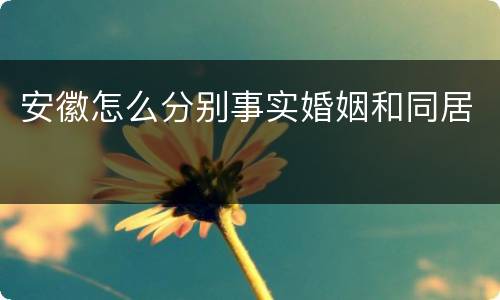安徽怎么分别事实婚姻和同居