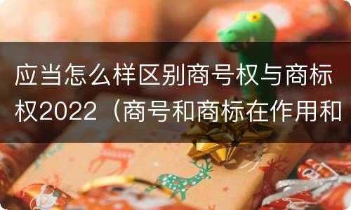 应当怎么样区别商号权与商标权2022（商号和商标在作用和性质上的区别）
