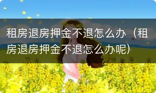 租房退房押金不退怎么办（租房退房押金不退怎么办呢）
